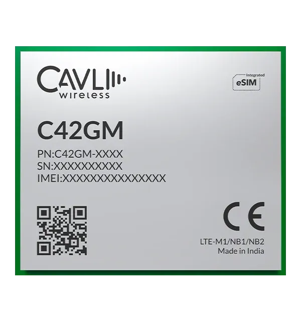 C42GM LPWA / NB-IoT Module